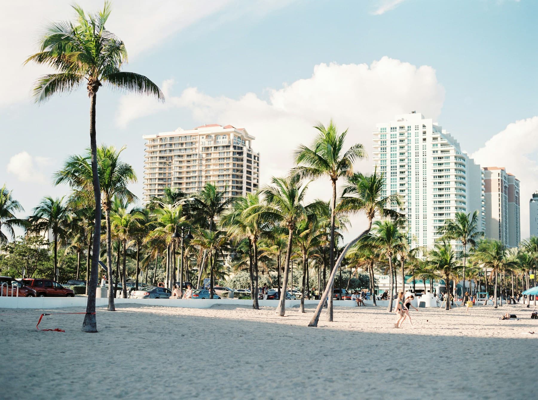 Palm trees along a Florida waterfront with Miami buildings in the background